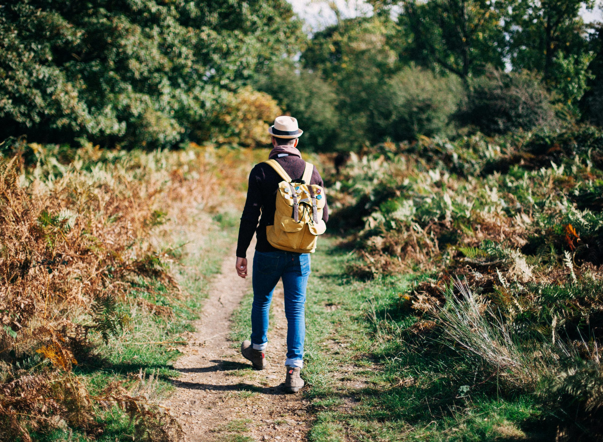 Person on a walk.